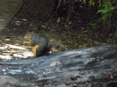 Enlarge photo 33