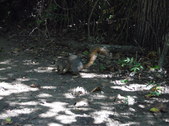Enlarge photo 34