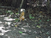 Enlarge photo 35
