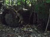 Enlarge photo 36