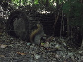 Enlarge photo 37