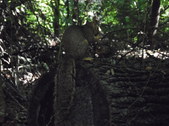 Enlarge photo 38