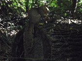 Enlarge photo 39