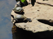 Nature Hike 178
