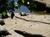 Enlarge photo 14