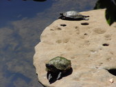 Nature Hike 181