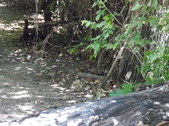 Enlarge photo 27