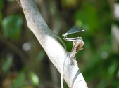 Enlarge photo 18