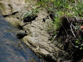 Enlarge photo 25