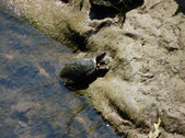 Enlarge photo 27