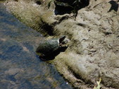 Enlarge photo 28