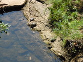 Enlarge photo 33