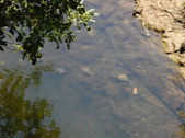 Enlarge photo 37