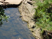 Enlarge photo 38