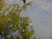 Enlarge photo 39