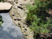 Nature Hike 186