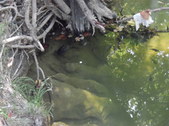 Enlarge photo 17