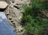 Enlarge photo 25