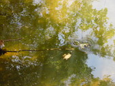 Enlarge photo 30
