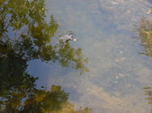 Enlarge photo 31