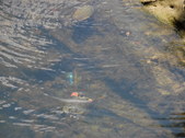 Enlarge photo 32