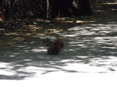 Enlarge photo 37