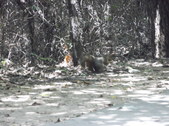 Enlarge photo 39
