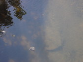 Nature Hike 187