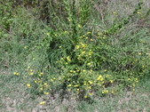 Nature Hike 188