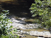 Nature Hike 189