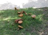 Enlarge photo 19
