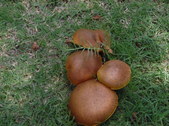 Enlarge photo 21