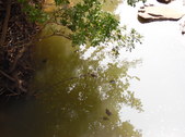 Enlarge photo 37