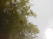 Enlarge photo 38