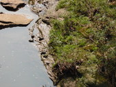 Enlarge photo 39