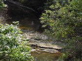 Nature Hike 192