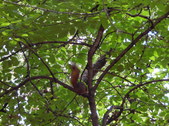 Enlarge photo 35