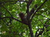 Enlarge photo 36