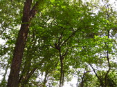 Enlarge photo 37