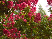 Enlarge photo 38