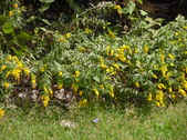 Enlarge photo 39