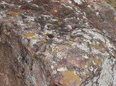 Enlarge photo 40
