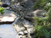 Nature Hike 194