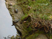 Enlarge photo 18