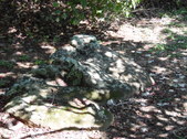 Enlarge photo 26