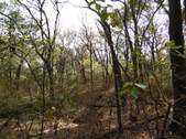 Enlarge photo 17