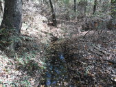 Enlarge photo 23