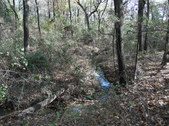 Enlarge photo 26