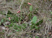 Enlarge photo 34