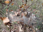 Enlarge photo 36